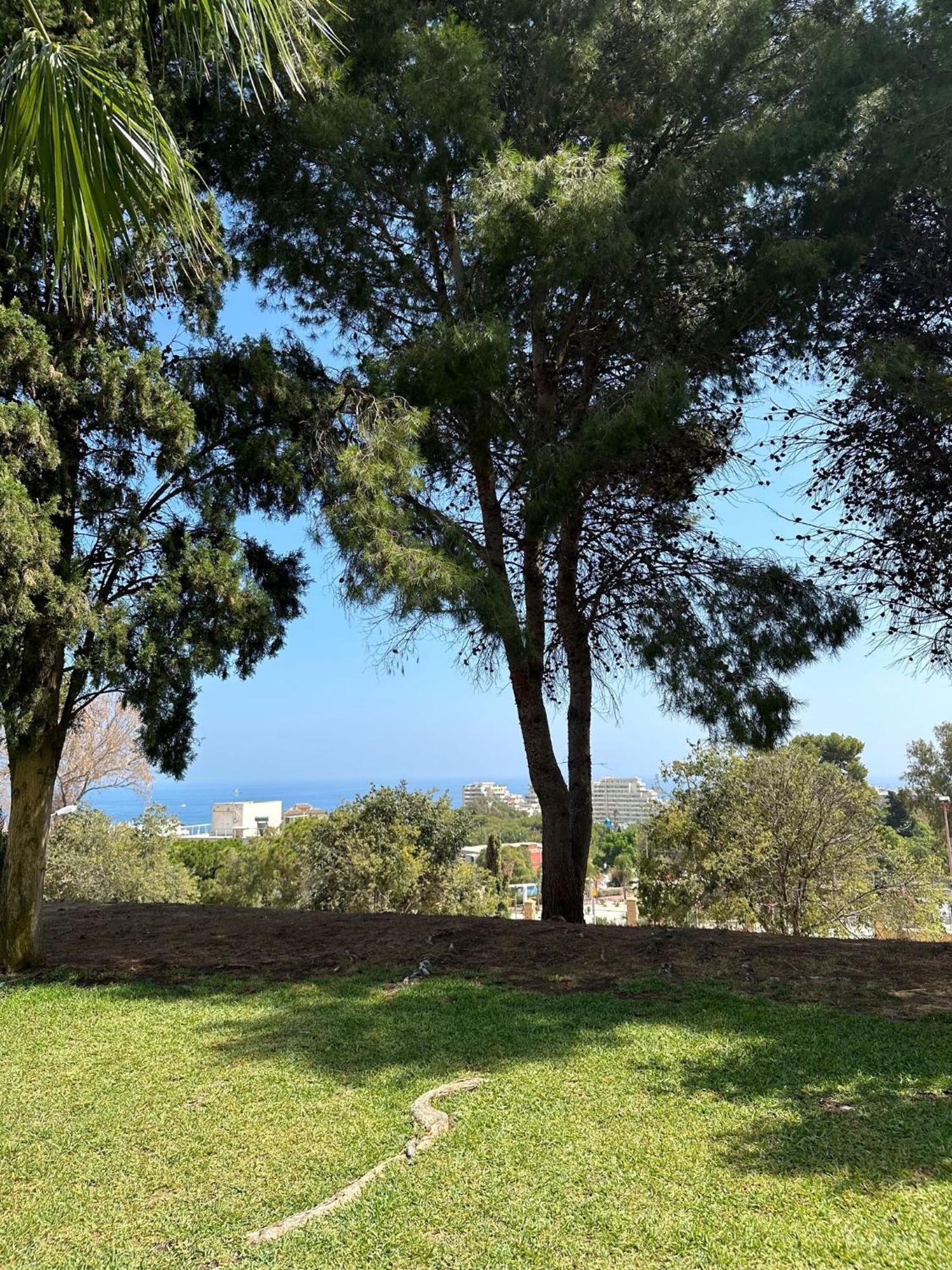 Benalmadena Gamonal Lägenhet Málaga Exteriör bild