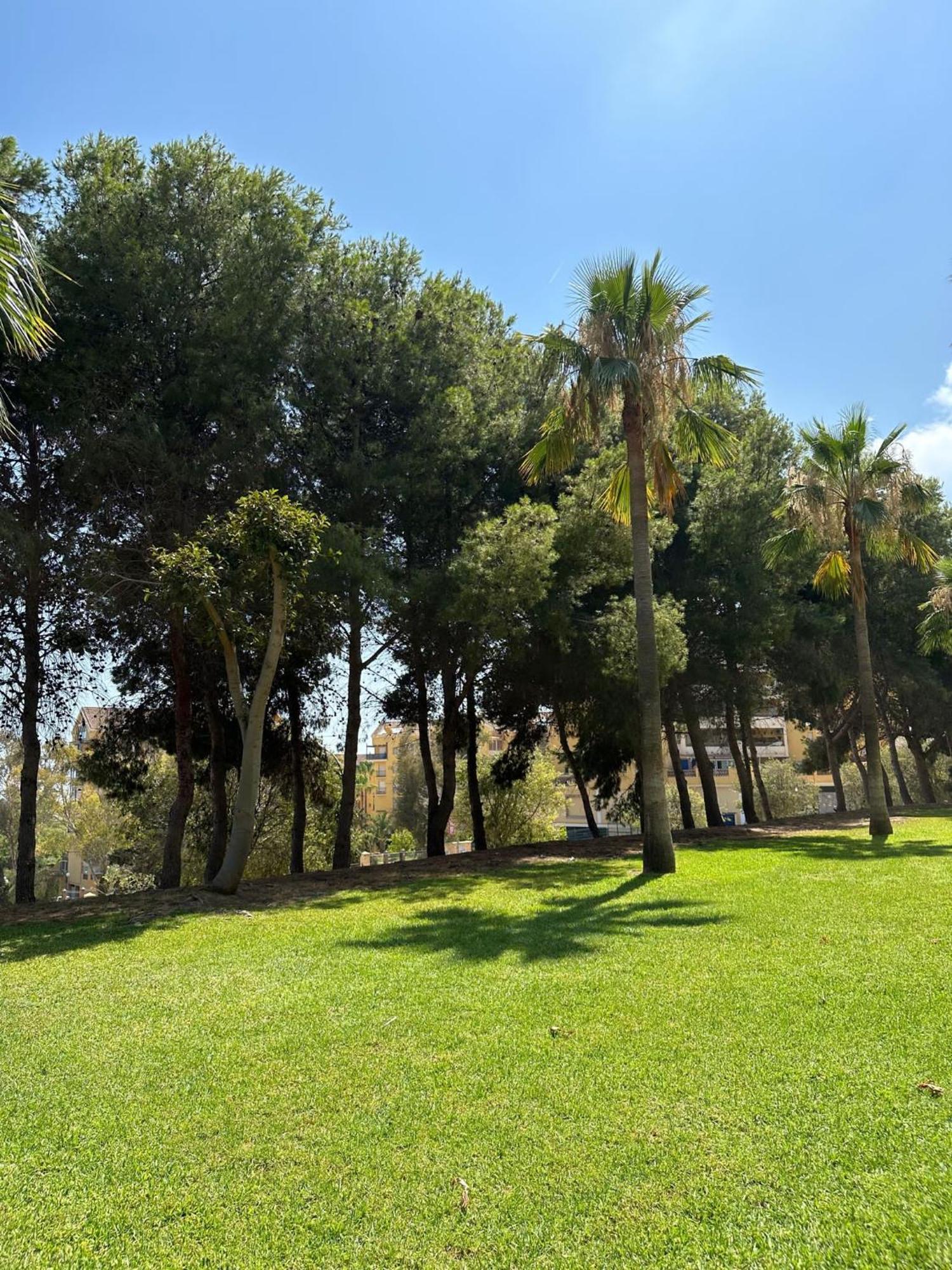 Benalmadena Gamonal Lägenhet Málaga Exteriör bild